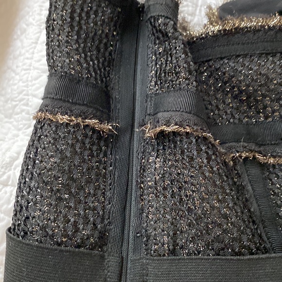 Gorgeous bustier corset by Proenza Schouler mesh & metallic side zip euc Xs - Picture 5 of 5